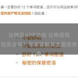 比特派APP功能 比特派钱包安全吗？专家详解其全面优势