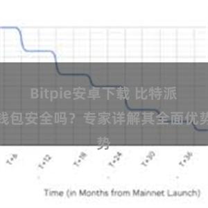 Bitpie安卓下载 比特派钱包安全吗？专家详解其全面优势