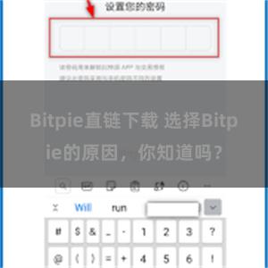 Bitpie直链下载 选择Bitpie的原因，你知道吗？