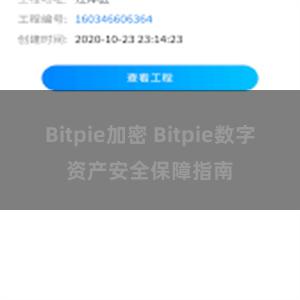 Bitpie加密 Bitpie数字资产安全保障指南