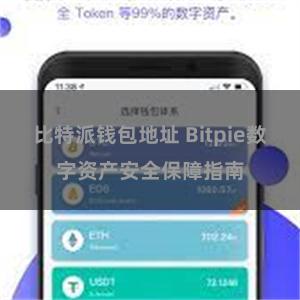 比特派钱包地址 Bitpie数字资产安全保障指南