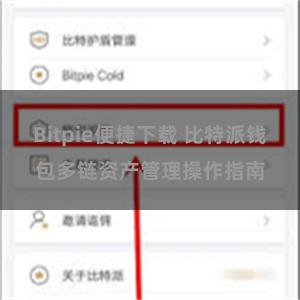 Bitpie便捷下载 比特派钱包多链资产管理操作指南