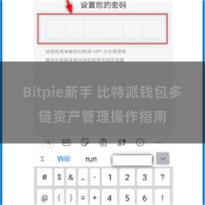 Bitpie新手 比特派钱包多链资产管理操作指南