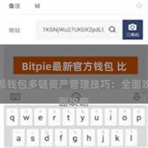 Bitpie最新官方钱包 比特派钱包多链资产管理技巧：全面攻略