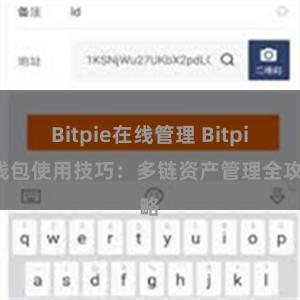 Bitpie在线管理 Bitpie钱包使用技巧：多链资产管理全攻略