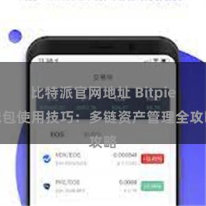 比特派官网地址 Bitpie钱包使用技巧：多链资产管理全攻略