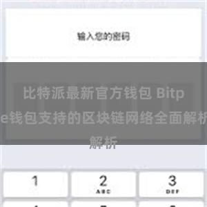 比特派最新官方钱包 Bitpie钱包支持的区块链网络全面解析