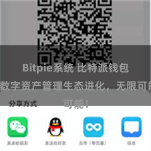 Bitpie系统 比特派钱包：数字资产管理生态进化，无限可能！