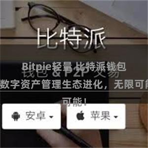 Bitpie轻量 比特派钱包：数字资产管理生态进化，无限可能！