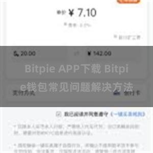 Bitpie APP下载 Bitpie钱包常见问题解决方法