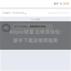 Bitpie轻量 比特派钱包：新手下载及使用指南