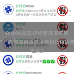 Bitpie提现 轻松管理多链资产，教你如何快速上手Bitpie钱包！