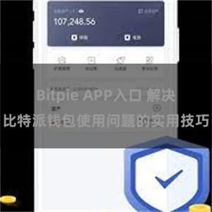 Bitpie APP入口 解决比特派钱包使用问题的实用技巧