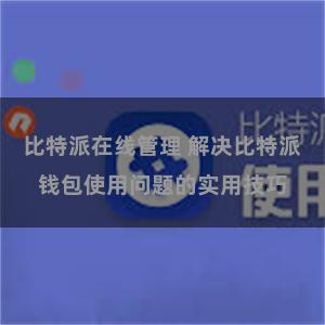 比特派在线管理 解决比特派钱包使用问题的实用技巧