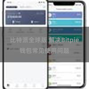 比特派全球版 解决Bitpie钱包常见使用问题