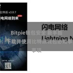 Bitpie钱包安全 新手指南：下载并使用比特派钱包必知事项