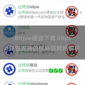 Bitpie便捷下载 Bitpie钱包支持的区块链网络解析