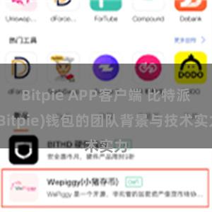 Bitpie APP客户端 比特派(Bitpie)钱包的团队背景与技术实力