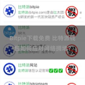 Bitpie下载免费 比特派钱包如何应对网络拥堵？