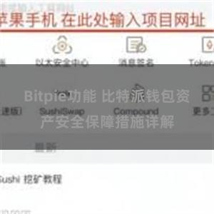 Bitpie功能 比特派钱包资产安全保障措施详解