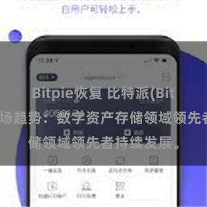 Bitpie恢复 比特派(Bitpie)钱包市场趋势：数字资产存储领域领先者持续发展。