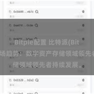 Bitpie配置 比特派(Bitpie)钱包市场趋势：数字资产存储领域领先者持续发展。