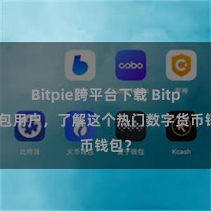 Bitpie跨平台下载 Bitpie钱包用户，了解这个热门数字货币钱包？