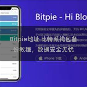 Bitpie地址 比特派钱包备份教程，数据安全无忧