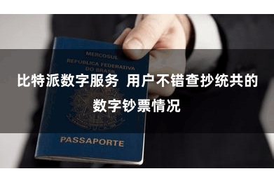 比特派数字服务  用户不错查抄统共的数字钞票情况